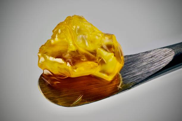 松香 - sōng xiāng