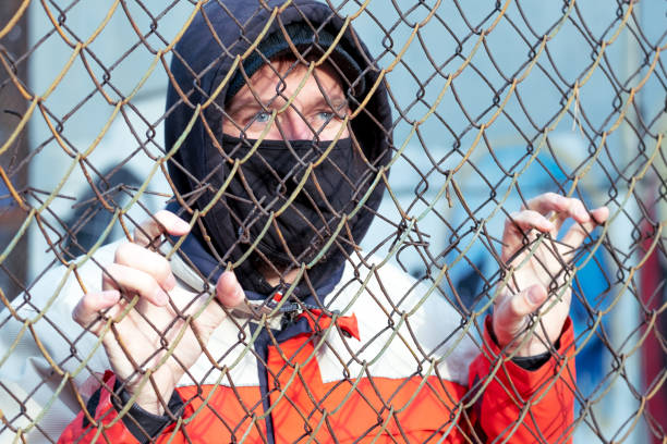 刑网 - xíng wǎng