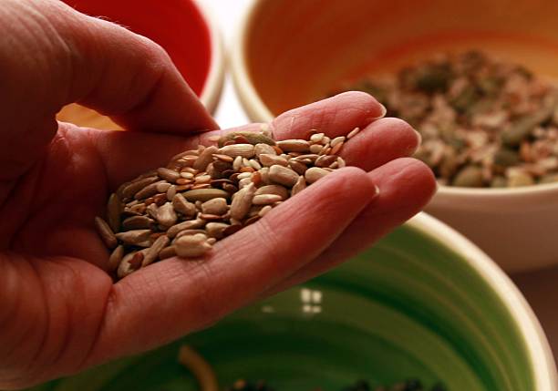 良种 - liáng zhǒng