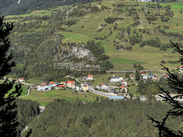 天年 - tiān nián